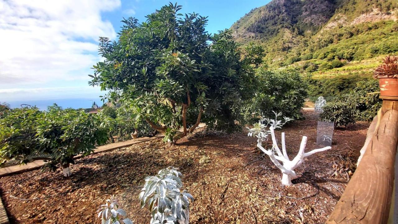 Casa Rural La Resbala - Casa Verde ลาโอโรตาวา ภายนอก รูปภาพ